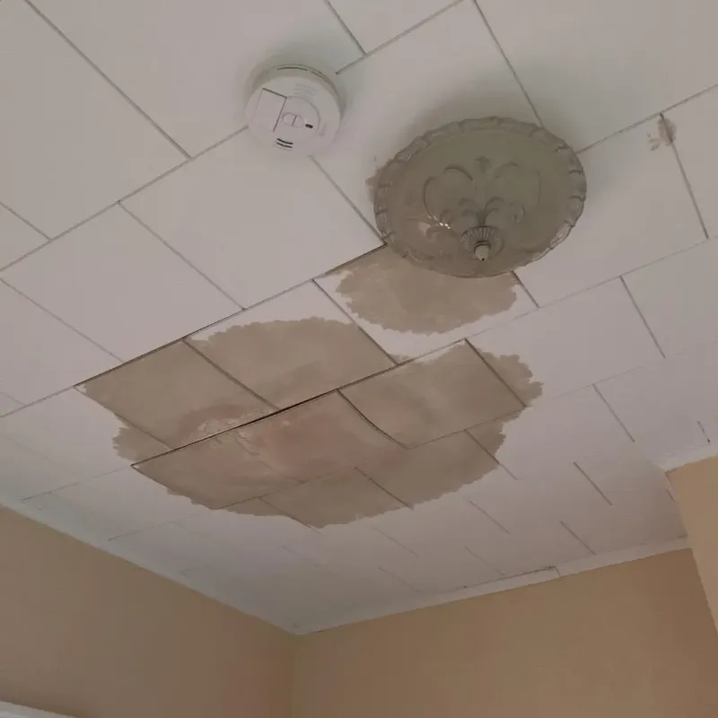 Ceiling Water Damage Repair in Travelers Rest, SC